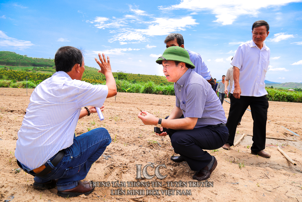 Sự kiện Quý II